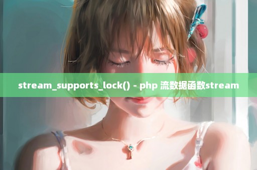 stream_supports_lock() - php 流数据函数stream