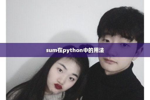 sum在python中的用法