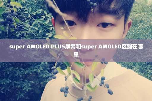 super AMOLED PLUS屏幕和super AMOLED区别在哪里