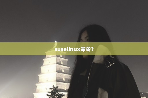 suselinux命令？