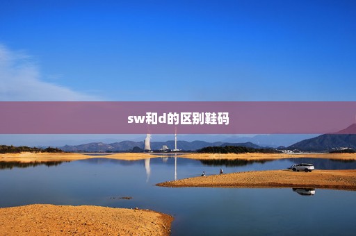 sw和d的区别鞋码