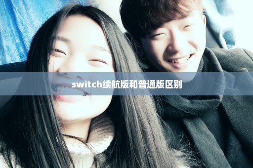 switch续航版和普通版区别