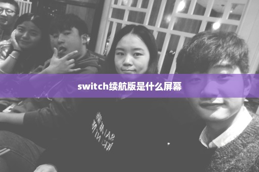 switch续航版是什么屏幕