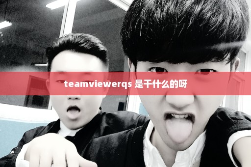 teamviewerqs 是干什么的呀