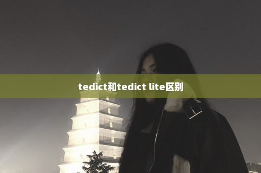 tedict和tedict lite区别