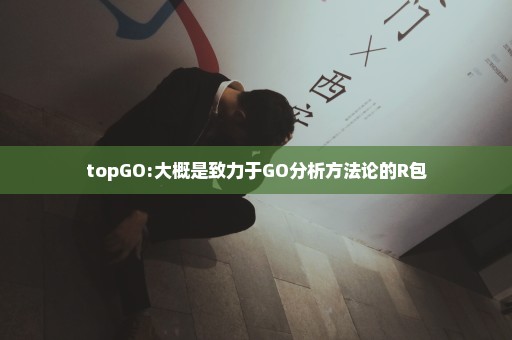 topGO:大概是致力于GO分析方法论的R包