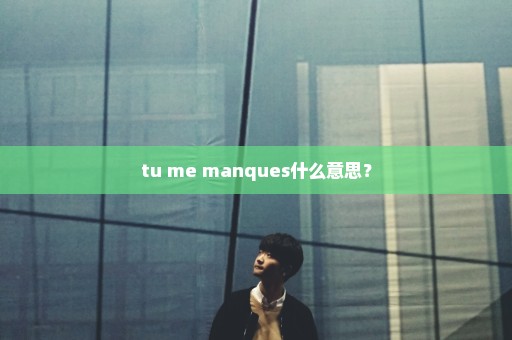 tu me manques什么意思？