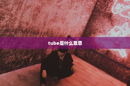 tube是什么意思