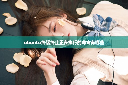 ubuntu终端终止正在执行的命令有哪些