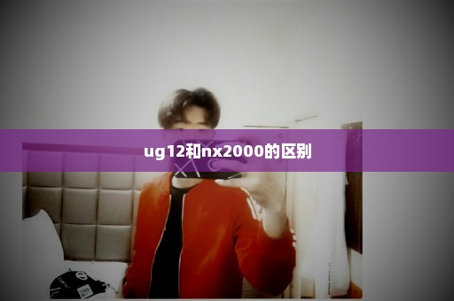 ug12和nx2000的区别