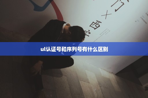 ul认证号和序列号有什么区别