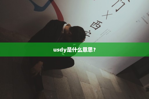 usdy是什么意思？