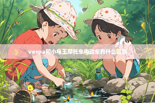 vespa和小龟王摩托车电动车有什么区别