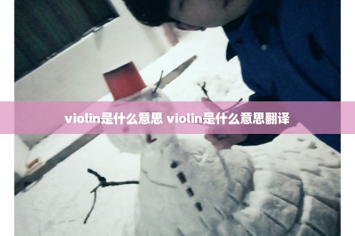 violin是什么意思 violin是什么意思翻译