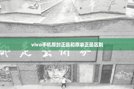 vivo手机原封正品和原装正品区别