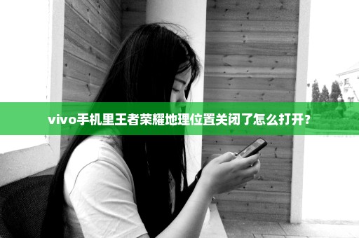 vivo手机里王者荣耀地理位置关闭了怎么打开？