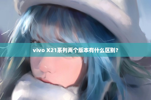 vivo X21系列两个版本有什么区别？