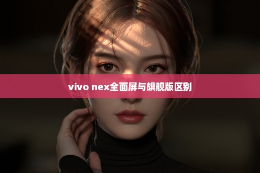 vivo nex全面屏与旗舰版区别