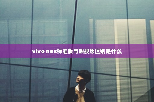 vivo nex标准版与旗舰版区别是什么