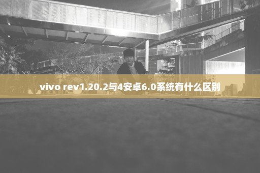 vivo rev1.20.2与4安卓6.0系统有什么区别