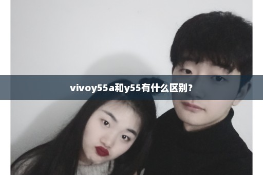 vivoy55a和y55有什么区别？