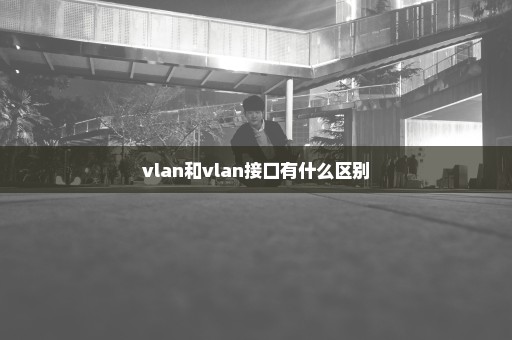 vlan和vlan接口有什么区别