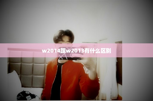 w2014跟w2013有什么区别