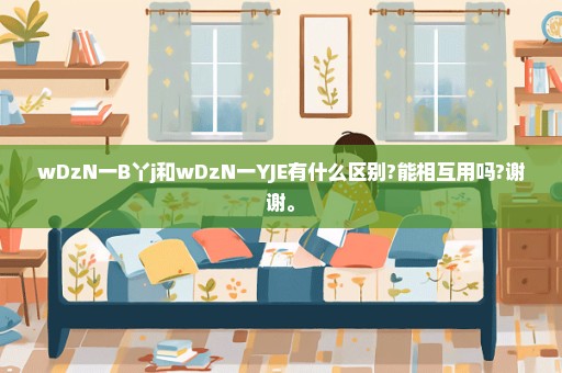 wDzN一B丫j和wDzN一YJE有什么区别?能相互用吗?谢谢。