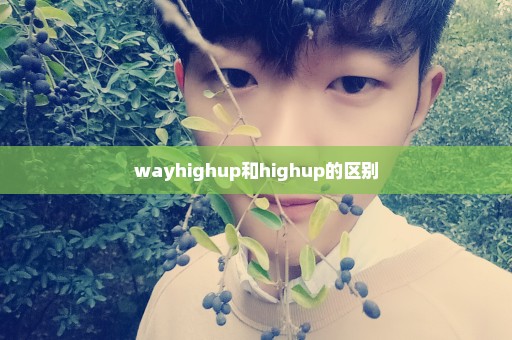 wayhighup和highup的区别