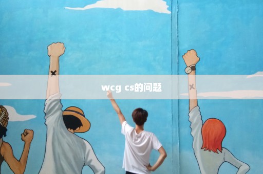 wcg cs的问题