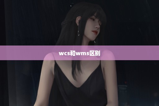 wcs和wms区别