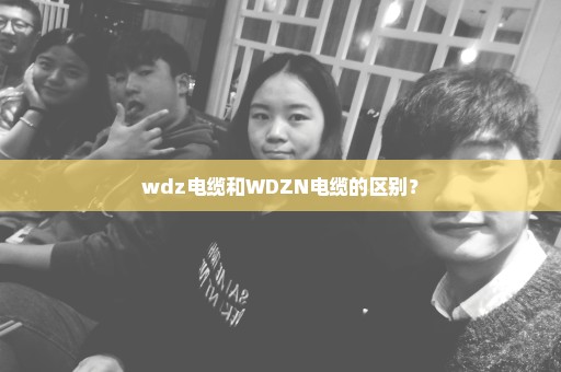 wdz电缆和WDZN电缆的区别？