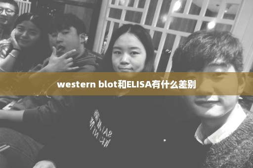 western blot和ELISA有什么差别