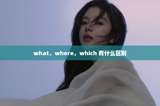 what，where，which 有什么区别