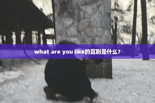 what are you like的区别是什么？