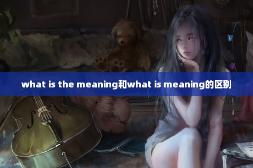 what is the meaning和what is meaning的区别