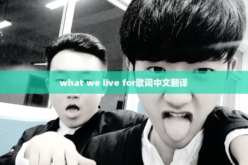 what we live for歌词中文翻译