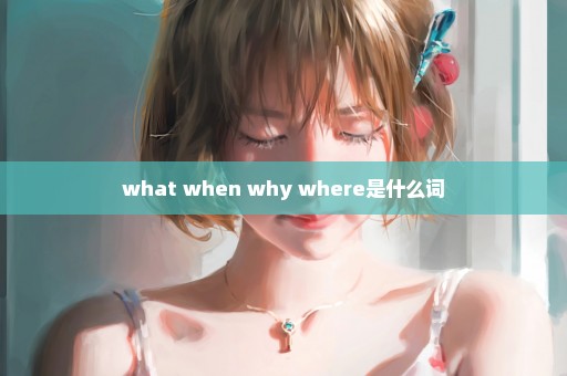 what when why where是什么词