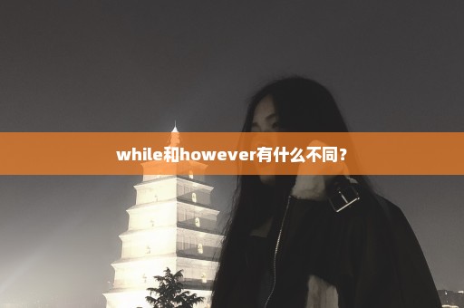 while和however有什么不同？