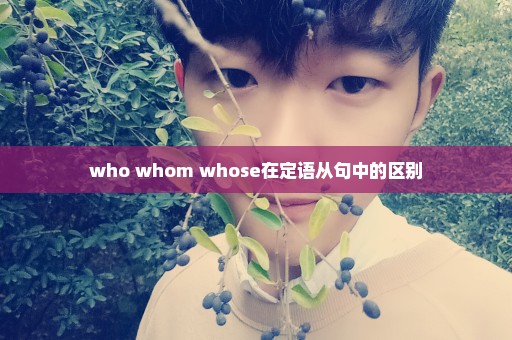 who whom whose在定语从句中的区别