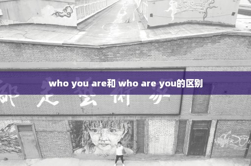 who you are和 who are you的区别