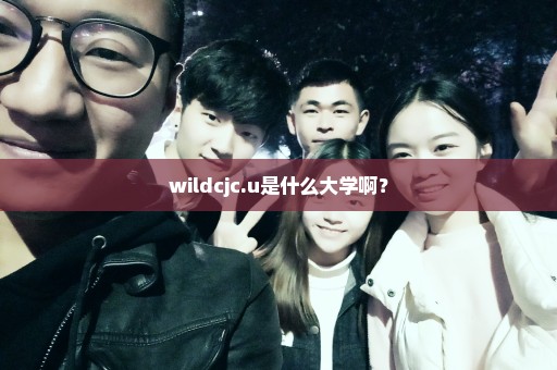 wildcjc.u是什么大学啊？