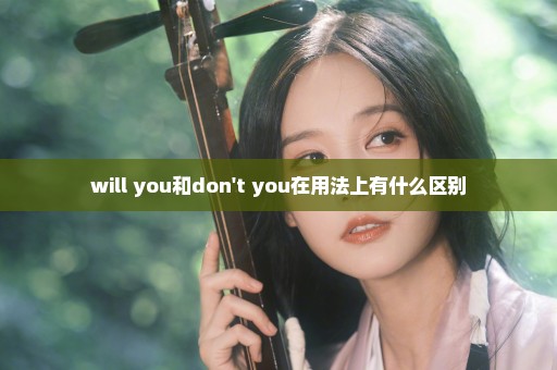 will you和don't you在用法上有什么区别