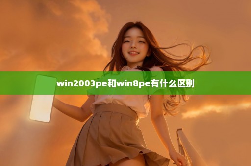 win2003pe和win8pe有什么区别