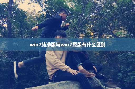 win7纯净版与win7原版有什么区别