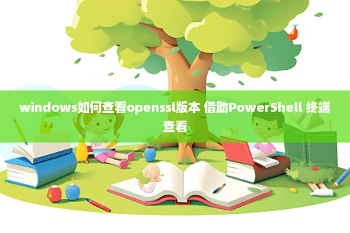 windows如何查看openssl版本 借助PowerShell 终端查看