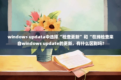 windows updata中选择“检查更新”和“在线检查来自windows update的更新，有什么区别吗？