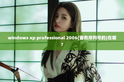 windows xp professional 2006(要有序列号的)在哪?