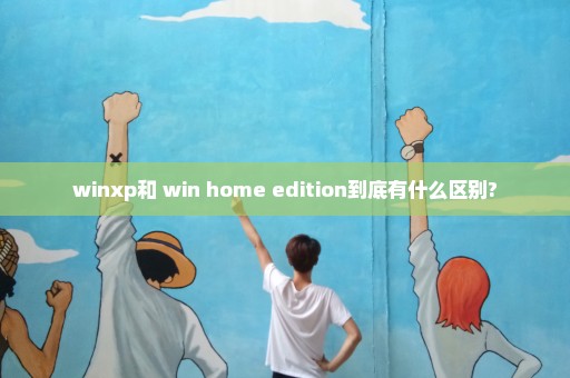 winxp和 win home edition到底有什么区别?