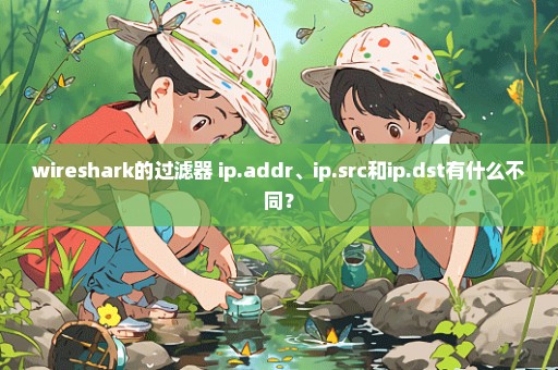 wireshark的过滤器 ip.addr、ip.src和ip.dst有什么不同？